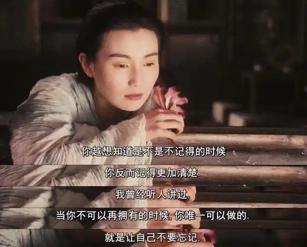 东邪西毒东成西就,王家卫的左右手互搏术