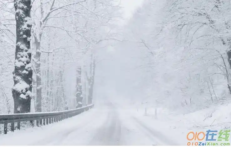 大雪纷飞图片