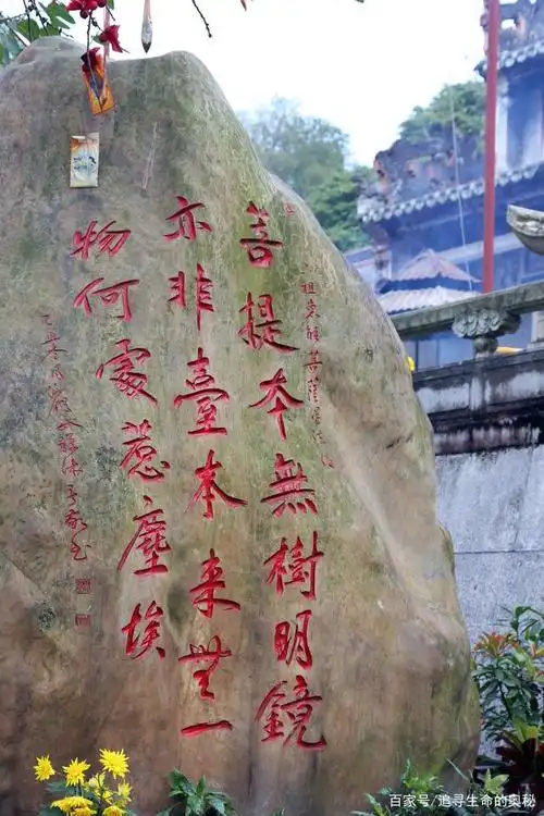 菩提本无树……本来无一物……这话问题很大啊!