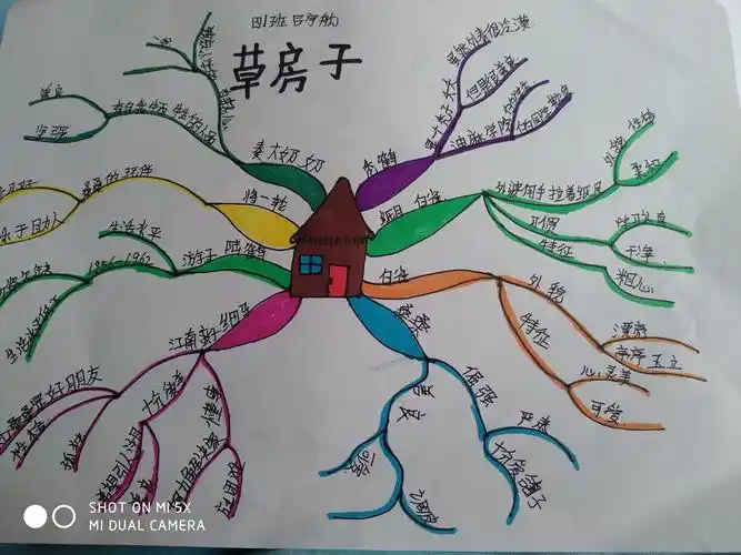 我跟孩子一起用思维导图检查对文章的理解