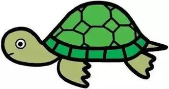 简笔画彩色图片带颜色简单又漂亮彩色海龟简笔画可爱画法步骤图片大全