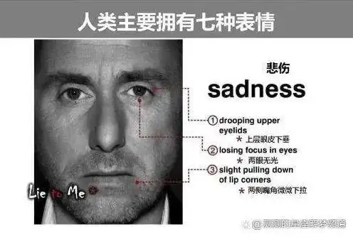 微表情读心术看人准到骨子里