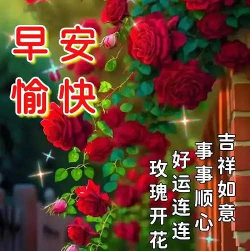 今日最新早上好表情图片大全,珍惜缘份,每天问早|早安|快乐|被爱_网易