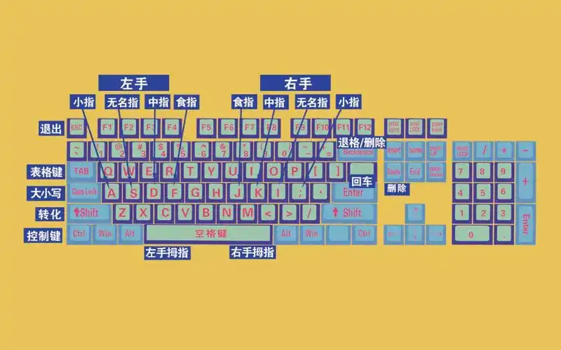 零基础学电脑,电脑打字入门教学视频,快速学会键盘打字