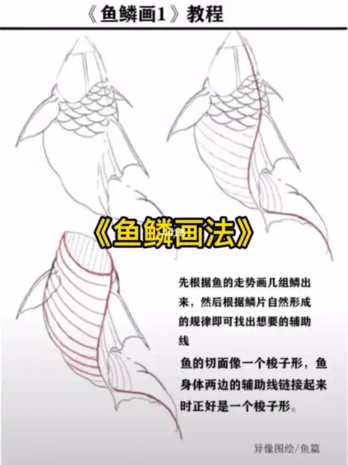 鱼鳞画法