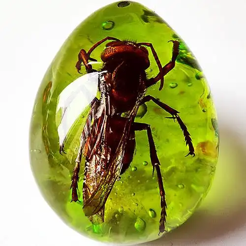 启珀昆虫标本虎年新款真昆虫标本真虫蝎子蝴蝶琥珀水滴形吊坠百搭挂件