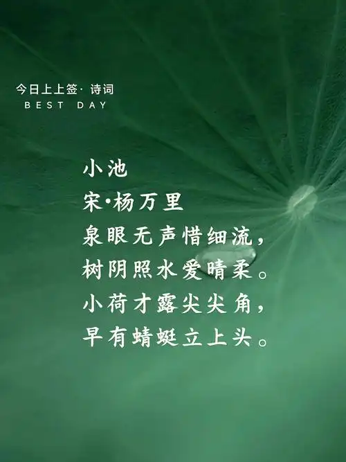 每日诗词-小池