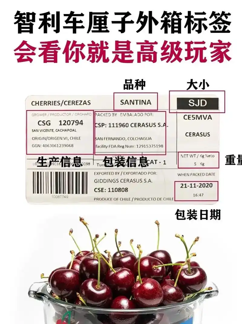 智利车厘子怎么区分真假