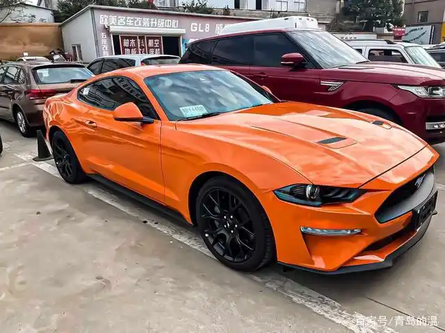 脱缰野马-放荡不羁丨橙色野马青岛装贴威固隐形透明车衣