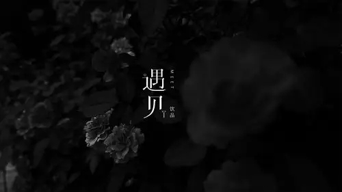 "遇见"饮品vi设计