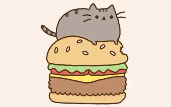 pusheen可爱哒胖吉猫合集持续更新