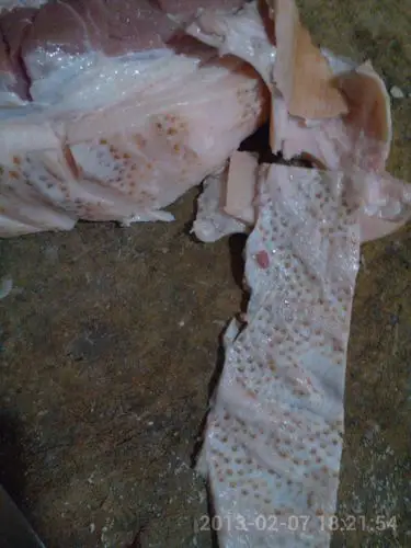 猪肉皮下密密麻麻的黑点,有点像脓包,请问是怎么回事啊?