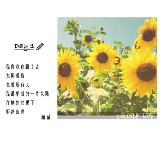 文字,向日葵文字