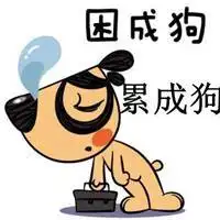 又冷又困的图片 - 新疆天山红摄影网