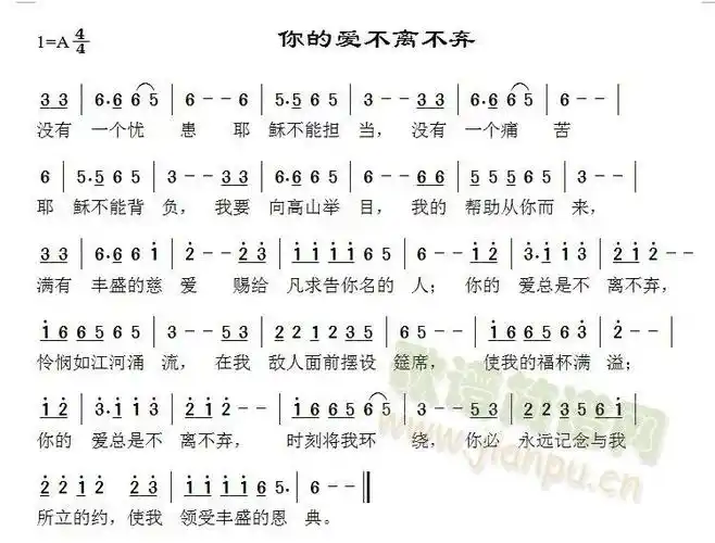 你的爱不离不弃 歌谱简谱网