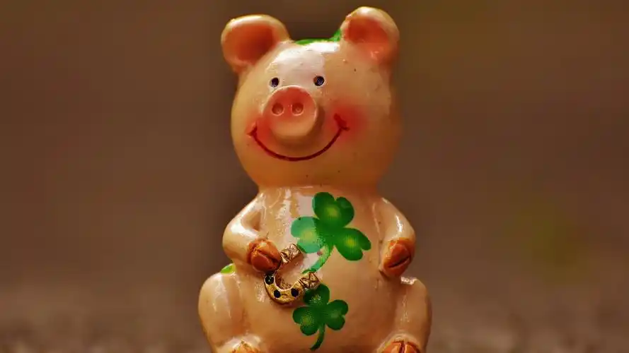 可爱的幸运猪祝你好运来,静物写真-回车桌面