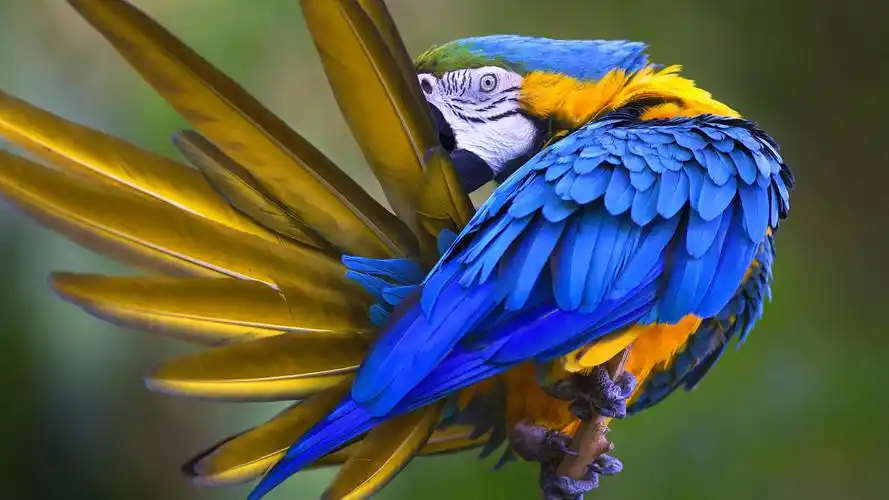 主题背景图片桌面壁纸第一辑高清大图预览1920x1080_风景壁纸下载_美