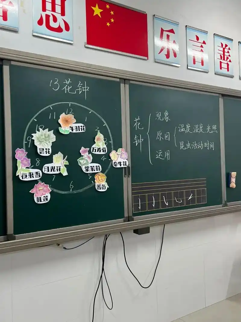 三下《花钟》板书分享 三年级下册 语文 第四单元《花钟》板书分享