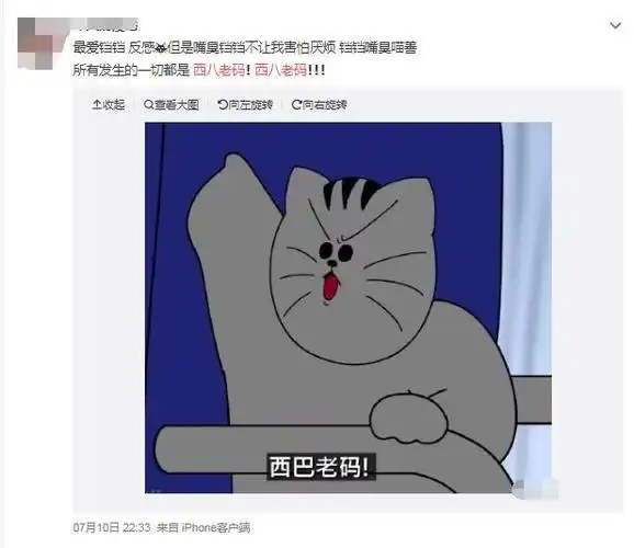 西八老码是什么意思?阿西吧在韩语是什么意思?