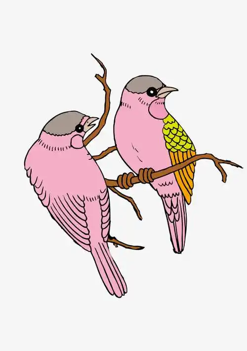 一对鸟在枝头喳喳叫