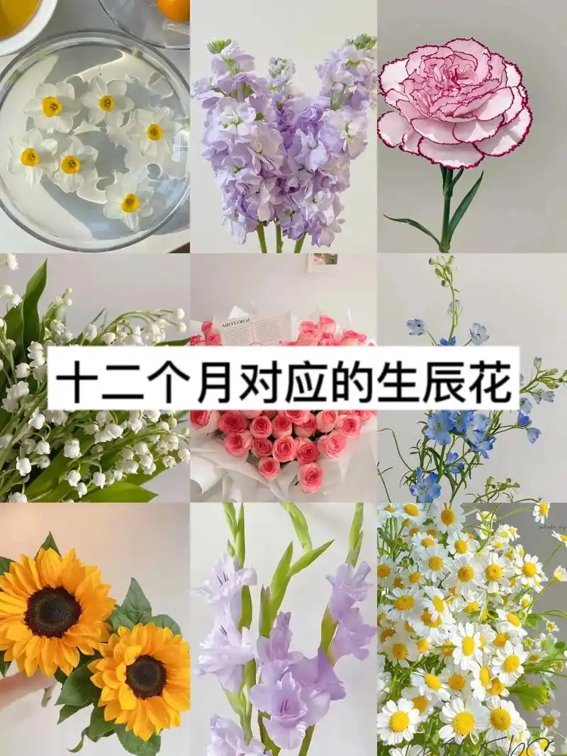 送花指南/你的生日对应什么鲜花?在平常卖花的时候,发现还是会 - 抖音