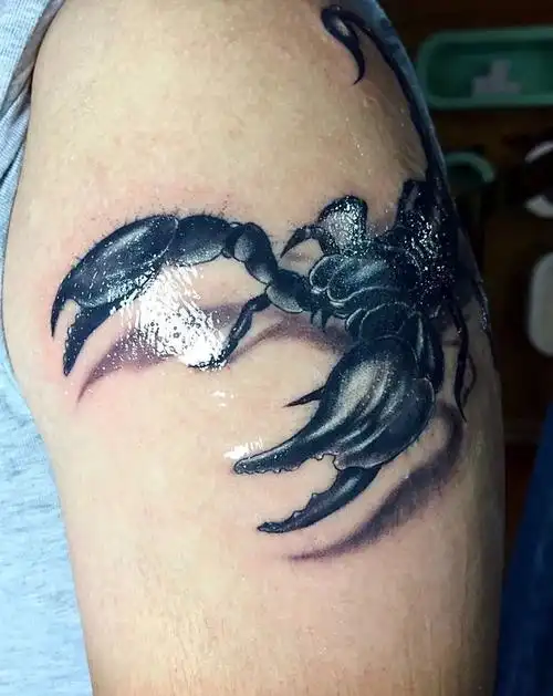 毒蝎子纹身图片