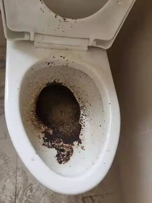 马桶有排泄物温州精装房到底经历了什么祥生地产回应