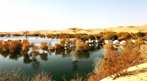 大美新疆秋季篇 - 美篇