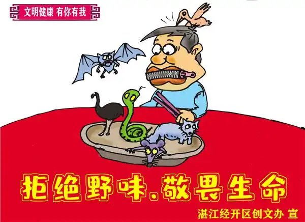 文明健康有你有我拒绝野味敬畏生命