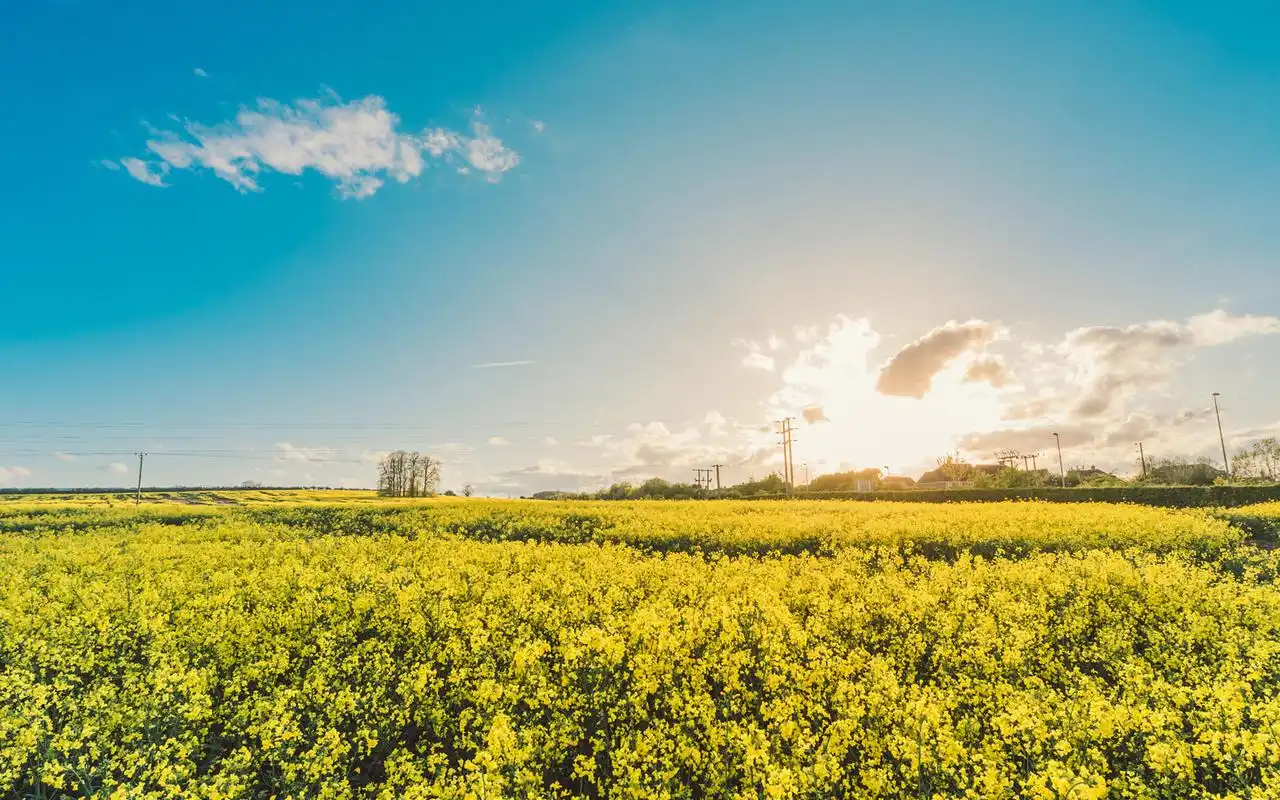 高清简约清新风景图片合集电脑壁纸(二)
