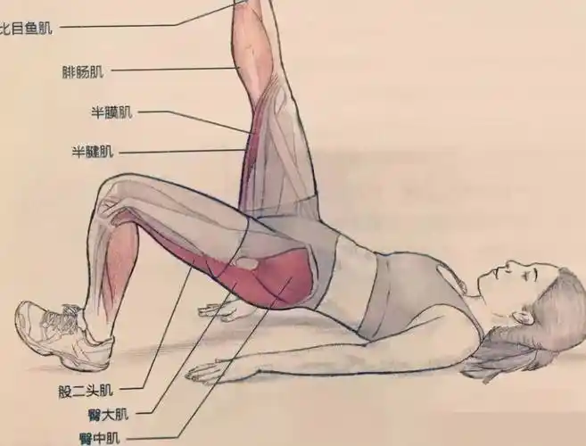 腿筋拉伤是一种什么病?