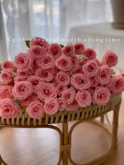 露露公主多头玫瑰