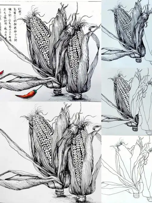 玉米线描写生步骤图少儿美术