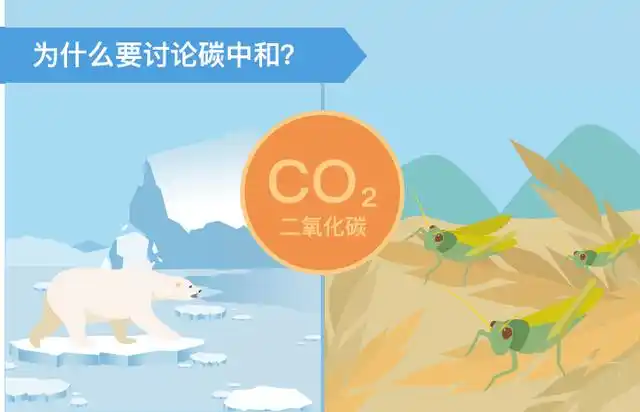 二氧化碳浓度上升而导致的两极冰川融化,海平面上升,蝗虫灾害等由气候