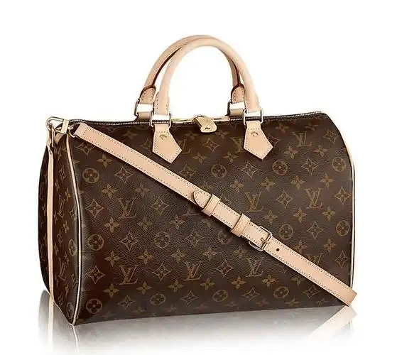 lv包包最值得收藏的经典包款指南