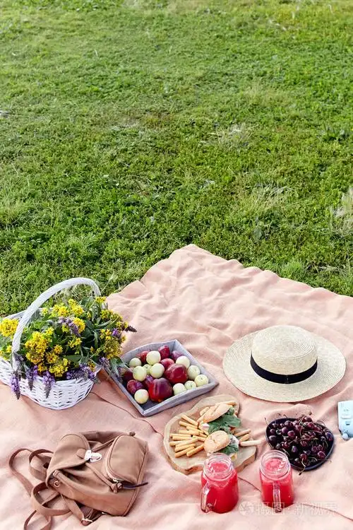 在公园的草地上野餐
