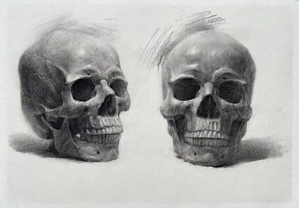 素描 头骨骷髅头正面,四分之三侧各种角度画法,建议收藏.# - 抖音