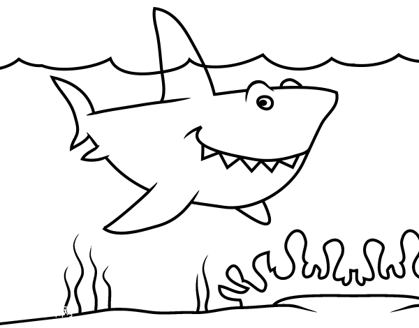 海洋鲨鱼简笔画