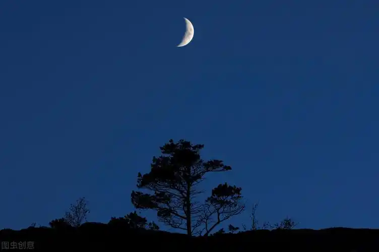 描写月亮的诗句写月亮的唯美古诗词