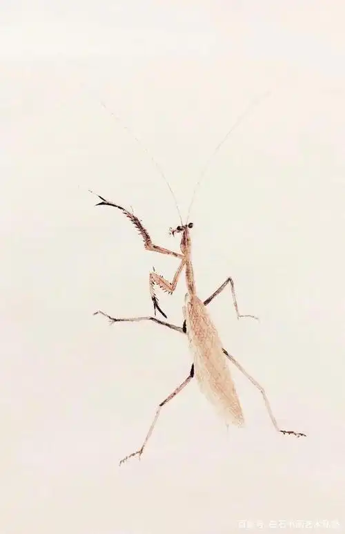 郭美毅国画《工笔螳螂》局部