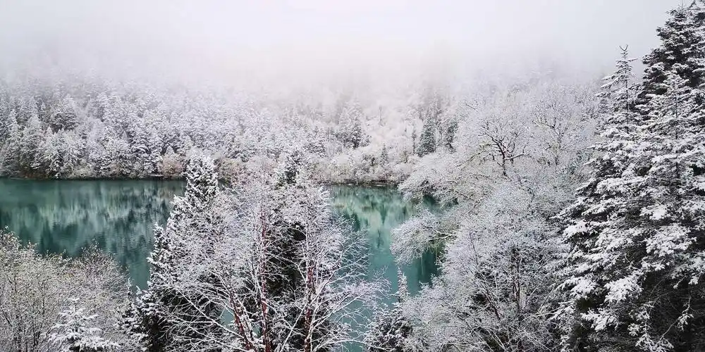 云雾缭绕,把九寨沟妆点更加分外妖娆,雪景雾凇飞瀑映衬宝石般的湖水真
