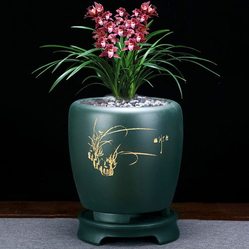 宜兴紫砂兰花花盆君子兰专用陶瓷盆景室内桌面多肉花盆