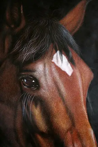 黄剑波 超写实系列《马头6-8》限量收藏级 实力派画家