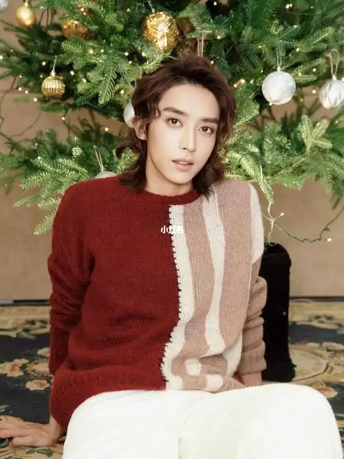 刘畅木法沙的圣诞歌会