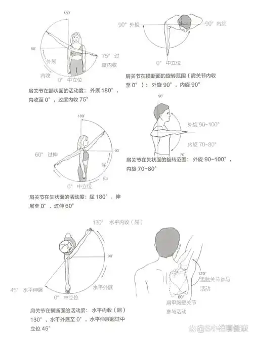 ren体各关节的活动范围