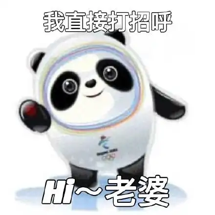 我直接打招呼h~老婆 - 冰墩墩表情包