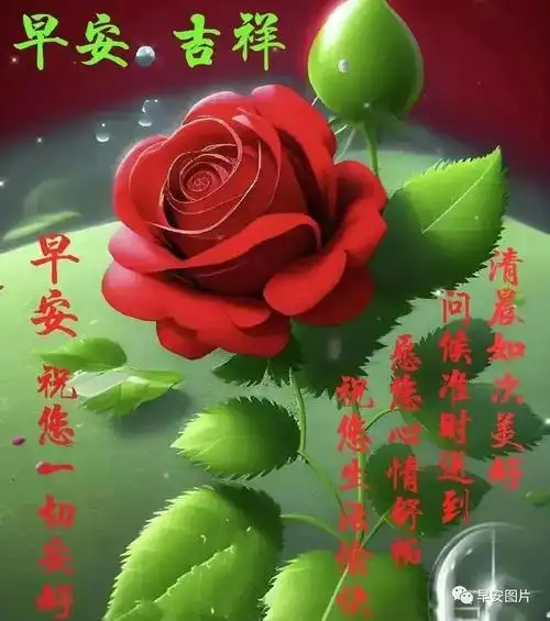 早安图片大全~早上好问候语动态表情图片|快乐|清晨|幸福|好心情_网易