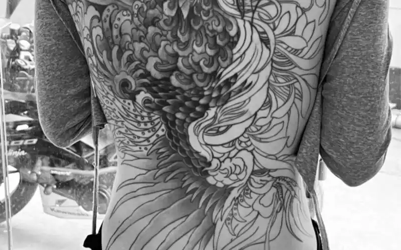 遮盖作品～满背·凤～未完待续刺锦堂纹身出品_哔哩哔哩_bilibili