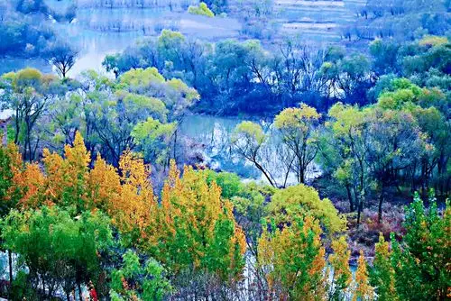 灞桥柳,——冬日亦风景, ··文来自网络