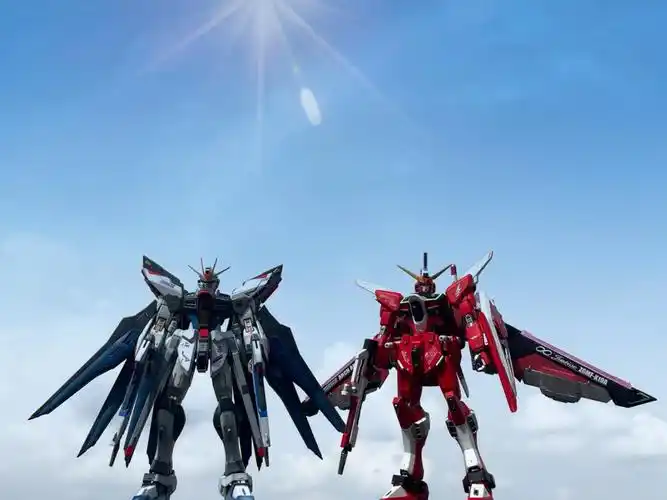 强袭自由vs无限正义